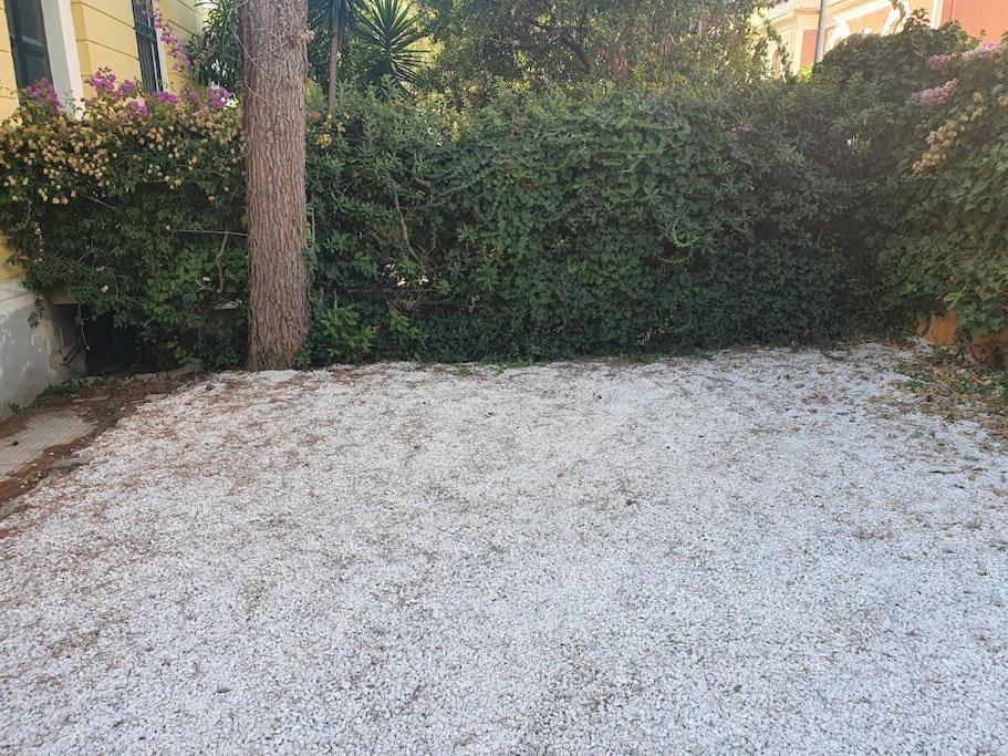Suite La Marinella Localita Caccia Riserva Santa Marinella Kültér fotó